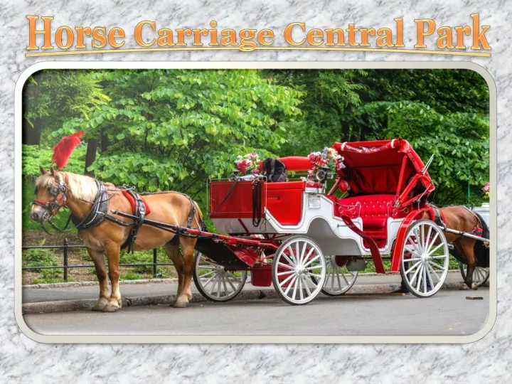 horse carriage central park