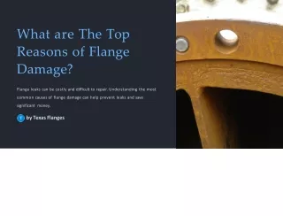 What are The Top Reasons of Flange Damage?