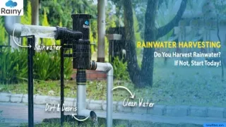 rainyfilters com
